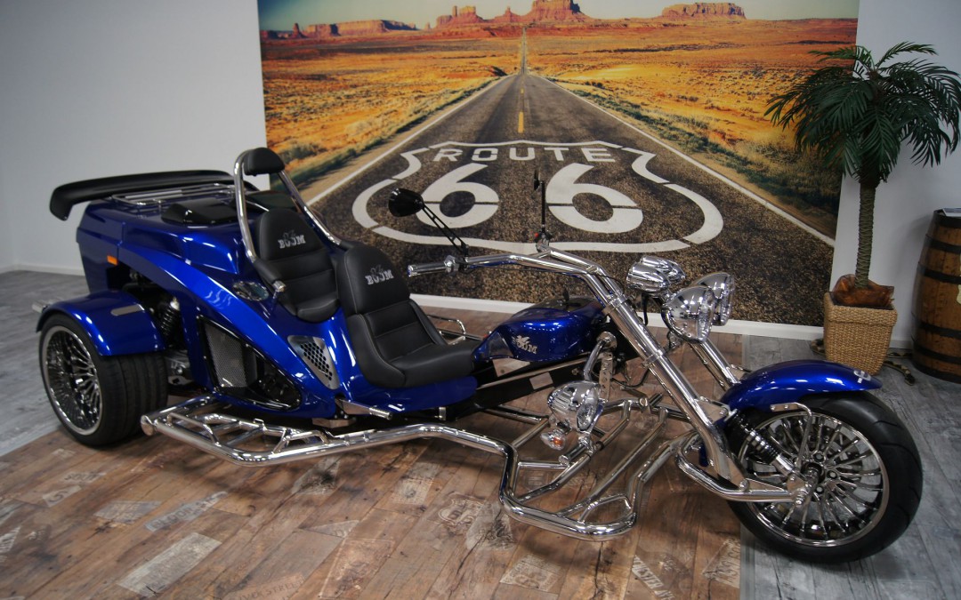 Boom Mustang 110PS_05547