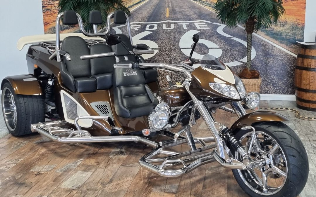 Boom Mustang Family Automatik 140PS_von Privat